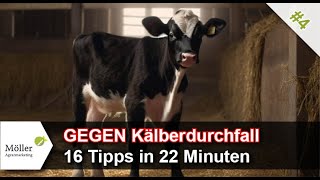 16 Tipps GEGEN Kälberdurchfall und FÜR gesunde Kälber Teil 4 [upl. by Nidak747]