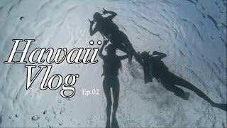 Hawaii vlog 2 🌈버릴게하나도없는하와이브이로그🌺패들보드요가버거맛집발견거북이스노쿨링치즈케이크팩토리와이켈레아울렛하와이쇼핑 [upl. by Eniretak]