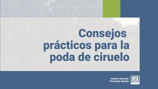 Consejos prácticos para poda de ciruelo [upl. by Etnuad702]