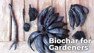 Biochar for Gardeners Transform Your Soil with Ancient Techniques [upl. by Shoshanna]