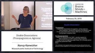 214  Double Dissociations Prosopagnosia vs Agnosia [upl. by Eppillihp271]