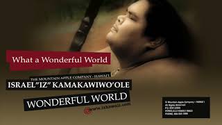 OFFICIAL Israel quotIZquot Kamakawiwoʻole  quotWonderful Worldquot [upl. by Ettenan]