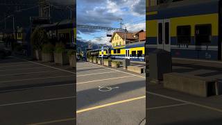 Train spotting at Wilderswil Switzerland travel swissbeauty train trainspotting trainlover [upl. by Damha]