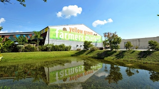 Yellow Green Farmers Market [upl. by Volney]