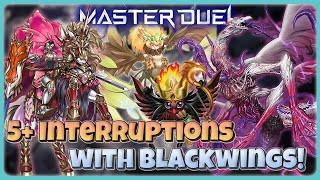 NEW 5 INTERRUPTIONS WITH BLACKWINGS IN MASTER DUEL [upl. by Athey556]