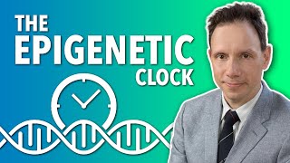 Epigenetic Clock  Dr Steve Horvath  Lifespanio [upl. by Sorac]