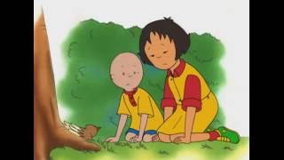 Caillou FRANÇAIS  3 ÉPISODES TRÈS SPÉCIAUX  conte pour enfant  Caillou en Français [upl. by Zrike25]