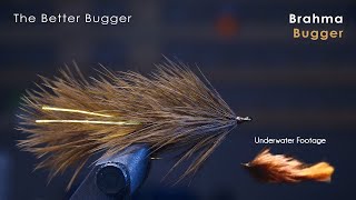 the BETTER Wooly Bugger  UNDERWATER FOOTAGE  McFly Angler Streamer Fly Tying Tutorials [upl. by Anilyx]