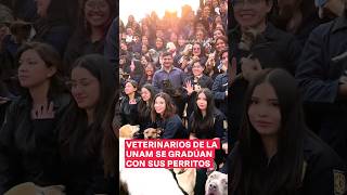 Veterinarios de la UNAM se gradúan con sus perros  N Shorts [upl. by Esinert]