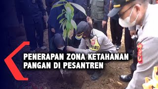 Penerapan Zona Ketahanan Pangan Di Pesantren [upl. by Jadd]