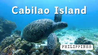 Scuba diving in Cabilao Island Bohol Philippines [upl. by Edlihtam61]