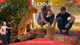 1 ti Letour  Safari Adventures [upl. by Saxon]