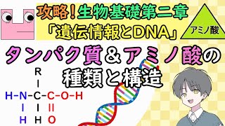 【生物基礎】タンパク質＆アミノ酸 ～その種類と構造～【初心者でも分かる】めたもる高校生物 [upl. by Admama]