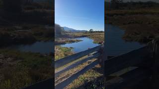 Nanaimo River Estuary [upl. by Luedtke]