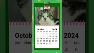 Kalender bulan Oktober 2024 cover kucing [upl. by Ecnerwaled670]