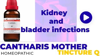 Cantharis Mother Tincture Q Homeopathic Medicine Cures Kidney And Bladder Infections [upl. by Leal]