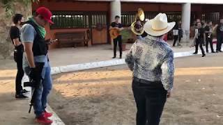 ASI SON LAS FIESTAS DE NARCOS EN SINALOA • MÉXICO 🇲🇽 [upl. by Aisatsana]