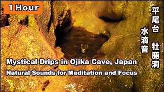 Mystical Drips in Hiraodai Ojika Cave Japan  Natural Sounds for Meditation 平尾台牡鹿洞滴音 瞑想 [upl. by Nohtiek]