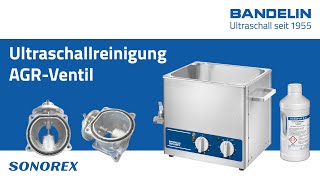 AGRVentil reinigen mit Ultraschall im BANDELIN SONOREX Ultraschallreiniger [upl. by Peri]