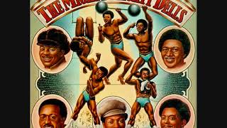 The Dells Usa 1974  The Mighty Mighty Dells Full Album [upl. by Mattah]