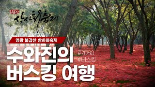 수와진의 버스킹여행 영광 불갑산 상사화축제 3만구독 가입 감사합니다 24923 함께 즐겨보는 음악방송 [upl. by Reggie694]