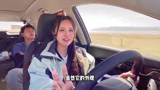 The Dongfeng AX7 Max 2022 Review  Auto China [upl. by Argyres]