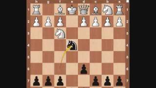 Chess Openings Petrov Defense [upl. by Emery]