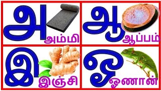 உயிர் எழுத்துக்கள்அ ஆ இ ஈ அரிச்சுவடிlearn Tamil alphabet letterstamil ueir ezuthukkalprinit1419 [upl. by Krystin]