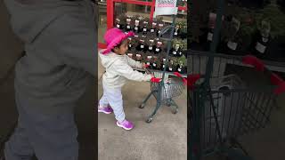 🛒 Shopping at Bunnings 🥰👏 [upl. by Unders]