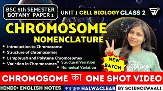 Chromosome Structure amp Function  Chromosomal Nomenclature BSc 6th semester Paper 1 Unit 1 🔥 [upl. by Endora]