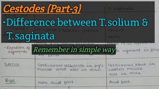 Cestodes Part3  Taenia solium vs Taenia saginata  Difference simplified [upl. by Eeslehc811]