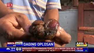 Penjual Daging Oplosan Sapi dan Celeng di Jember Ditangkap [upl. by Ainaled411]