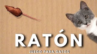 👉JUEGO de RATONES🐀 VIDEOS PARA GATOS😸 [upl. by Ielarol]