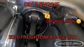 2020 FREIGHTLINER CASCADIA DD15 ENGINE WITH A DAMAGE ENGINE BROKEN CYLINDER LINER WATER IN OIL [upl. by Kinson]