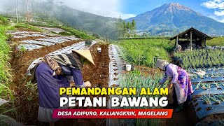 PETANI BAWANG DITEMANI AWAN  Pemandangan Alam Desa Pegunungan  Cerita Desa Prampelan Magelang [upl. by Courtund]