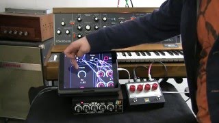 Audulus  Gristleizer  Minimoog VCF  AD4096  Ampex ATR102 [upl. by Arayt]