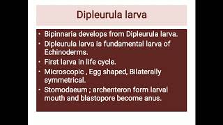 Development of bipinnaria larva [upl. by Llij]