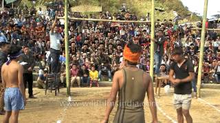 Naga boy takes a high jump to kick piece of meat  meatkicking competition [upl. by Ibor392]