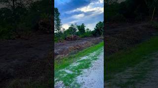 Clearing 3rd property in clewiston florida contact us YeroStockFarm [upl. by Haibot]