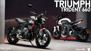 2024 Triumph Trident 660 The New King of Roadsters  Fun Agile and Affordable [upl. by Acenom496]