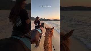 Sithonia Greece  Horse riding on Sykia Beach 🇬🇷 [upl. by Gadmon]