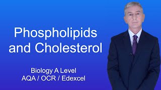 A Level Biology Revision quotPhospholipids and Cholesterolquot [upl. by Acinemod]