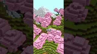 A MELHOR SEED DO MINECRAFT😱 121🎮 SERVE PRO JAVA E PRO MINECRAFT PE🔥 [upl. by Marcelo845]