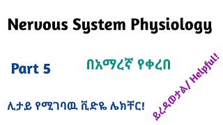 Physiology Neurophysiology General Nervous Tissue Part 5 Video Lecture in Amharic Speech [upl. by Brade185]