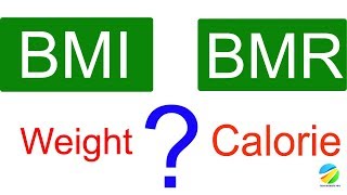 What Is BMI And BMR  🔥🔥🔥 How To Calculate BMI And BMR [upl. by Remled203]