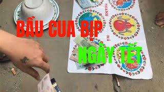 Bầu cua  Bầu cua bịp ngày tết  hột bầu cua bịp  cách đánh bầu cua thắng [upl. by Ardine]