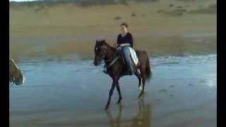 Un beau galop sur la plage en balade à cheval au Maroc [upl. by Ssor981]