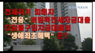 전세사기피해자 만을 위한 quot전용quot버팀목전세자금대출 및 디딤돌구입자금대출의 quot생애최초혜택quot에 대하여 간략하게 설명합니다 [upl. by Claudius]