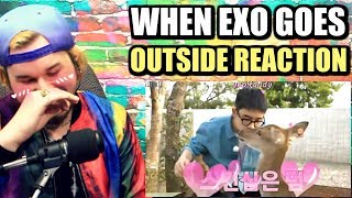 what happens when EXO goes outside  DO IS TOO ADORABLE  REACTION [upl. by Man]