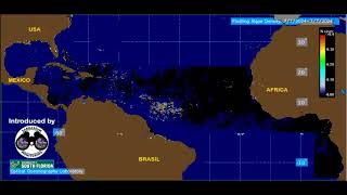 2024 Sargassum Monitoring® Official  Sargassum Seaweed Evolution july 2024 [upl. by Lekram794]